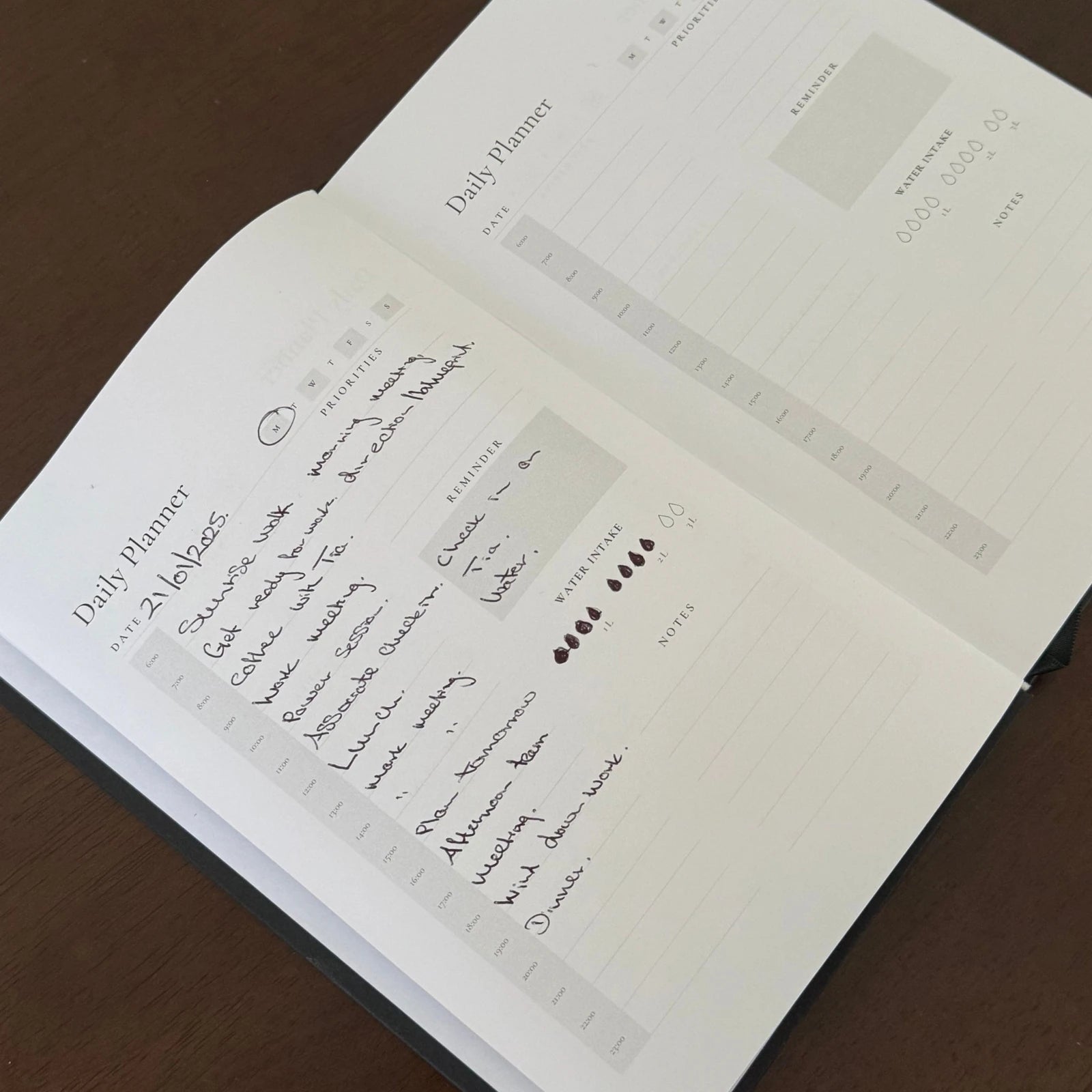 The real Daily Planner with original handwriting.
